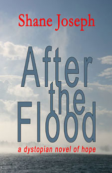 After the Flood by Shane Joseph
