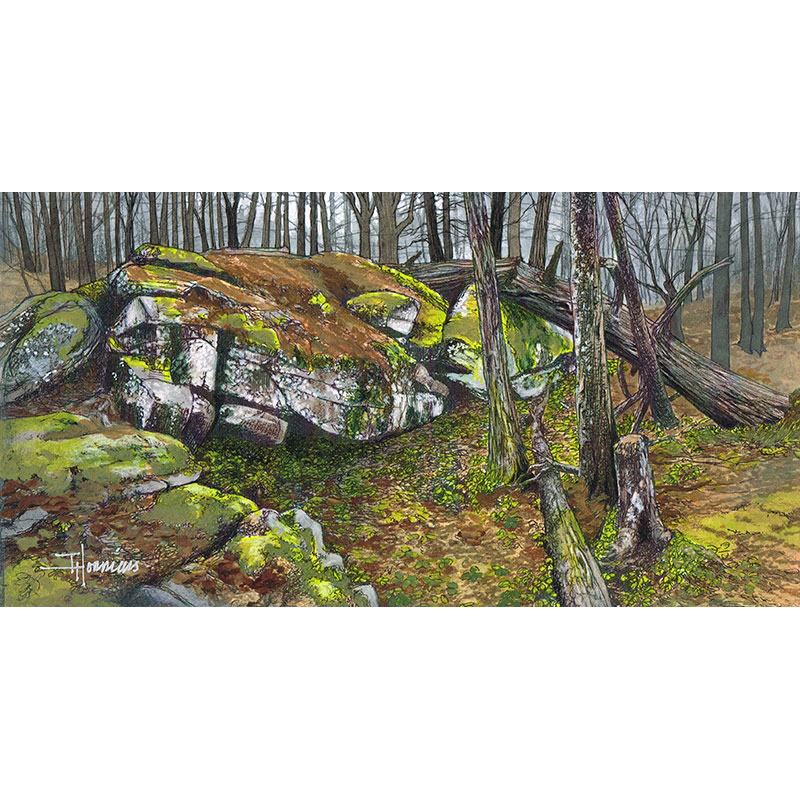 Awakening Woods - 11.5x6" - Mixed Media