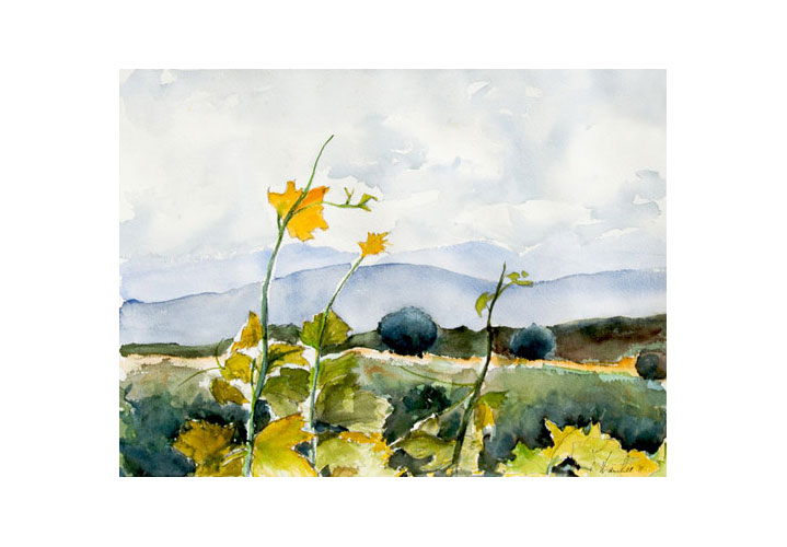 Roussillon Spring 16″ x 12″ Watercolour on Arches 140 lb. Cold Press Paper by Denny Manchee