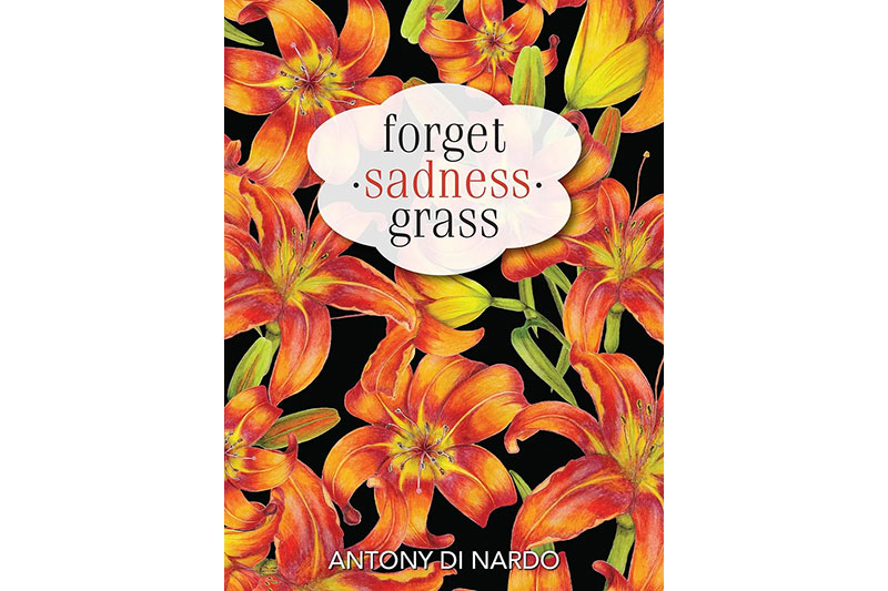 Forget Sadness by Antony DiNardo