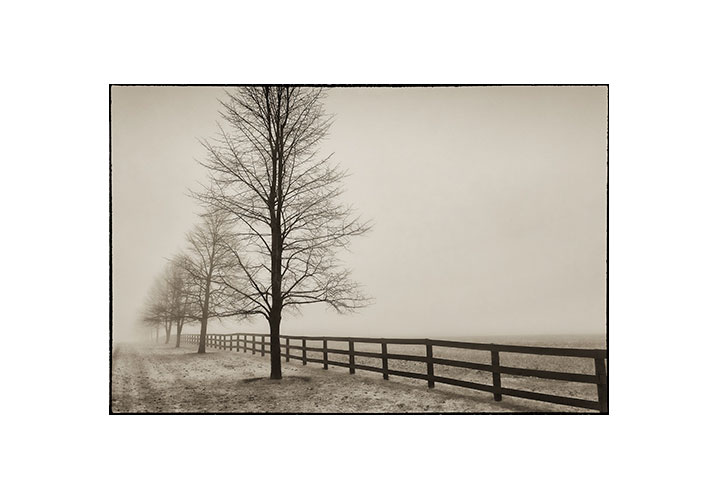 Northumberland Fog by Brian Tyson
