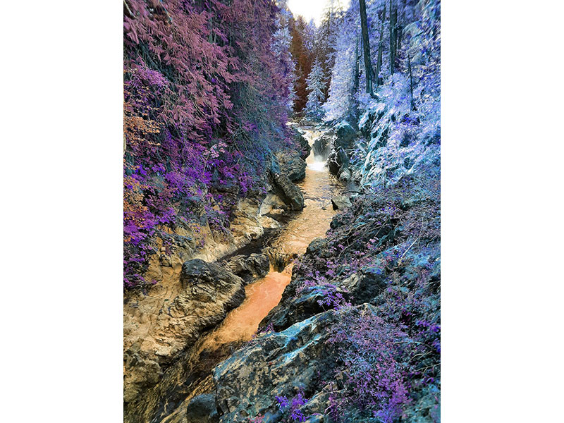 Qualicum Gorge by Marie-Lynn Hammond