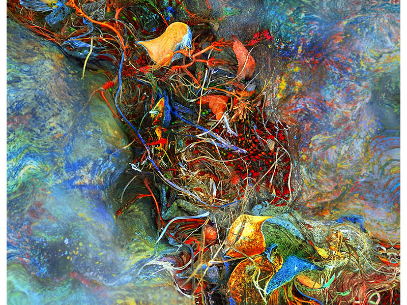 Tangle Flow by Marie-Lynn Hammond